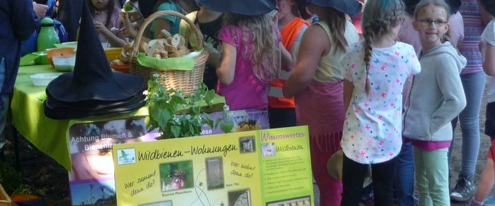 HOTSPOT-PROJEKT: Kinderstube für Fische, Amphibien und Insekten