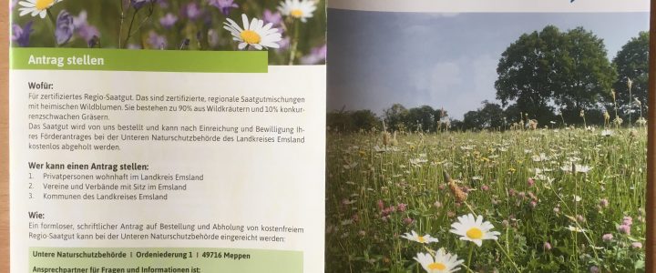Neues Förderprogramm Wildblumen(wiesen)