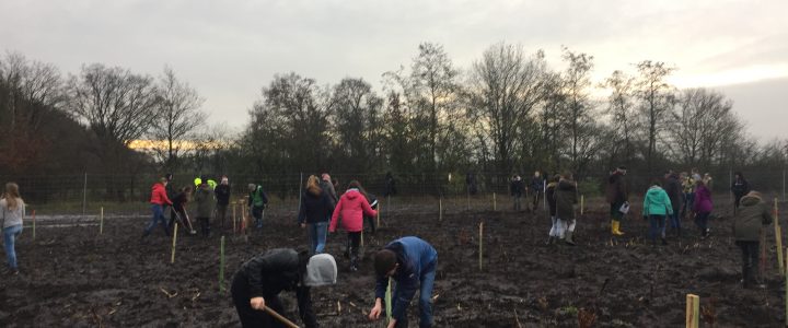 Pflanzaktion-Schulwald Papenburg-Klimaschutzwald 2.0