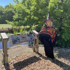 Weg der Vielfalt – am Kreishaus in Meppen Weg der Vielfalt – am Kreishaus in Meppen