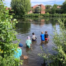 Tierische Entdeckungstouren Tierische Entdeckungstouren
