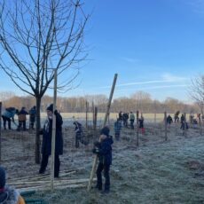Grundschule Holsten-Bexten pflanzt Obstbäume und Heckenstäucher