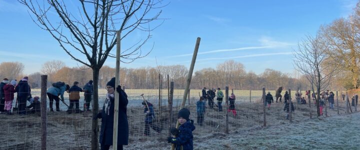 Grundschule Holsten-Bexten pflanzt Obstbäume und Heckenstäucher