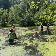 Spaß und Umweltbildung in der Natur Spaß und Umweltbildung in der Natur