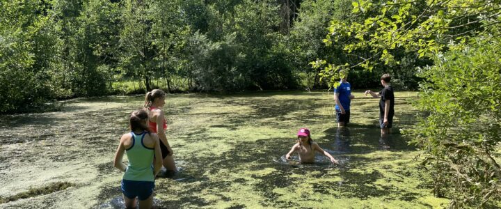 Spaß und Umweltbildung in der Natur Spaß und Umweltbildung in der Natur